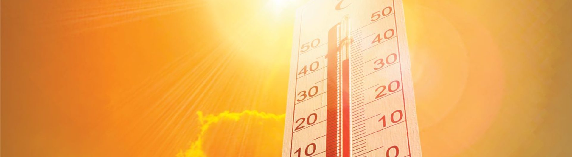 thermometer